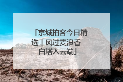京城拍客今日精选｜风过麦浪香 白塔入云端