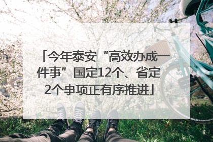 今年泰安“高效办成一件事”国定12个、省定2个事项正有序推进