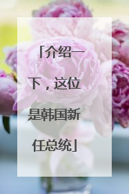 介绍一下，这位是韩国新任总统