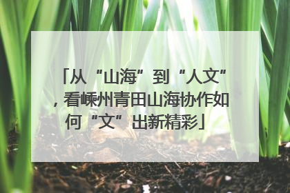 从“山海”到“人文”，看嵊州青田山海协作如何“文”出新精彩