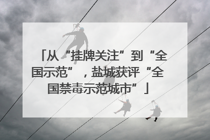 从“挂牌关注”到“全国示范”，盐城获评“全国禁毒示范城市”