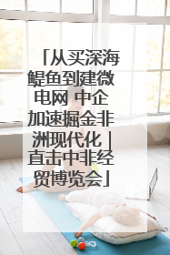 从买深海鳀鱼到建微电网 中企加速掘金非洲现代化｜直击中非经贸博览会