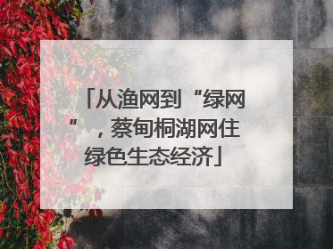 从渔网到“绿网”，蔡甸桐湖网住绿色生态经济