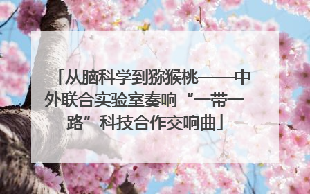 从脑科学到猕猴桃——中外联合实验室奏响“一带一路”科技合作交响曲