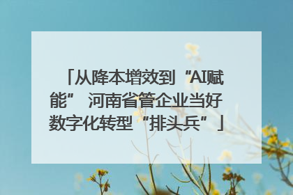 从降本增效到“AI赋能” 河南省管企业当好数字化转型“排头兵”