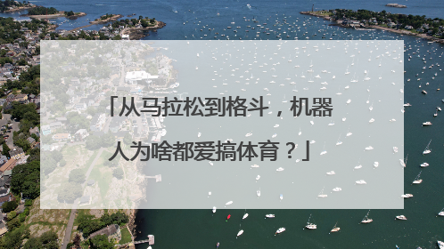 从马拉松到格斗，机器人为啥都爱搞体育？