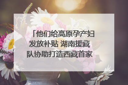 他们给高原孕产妇发放补贴 湖南援藏队协助打造西藏首家高原产儿协同中心