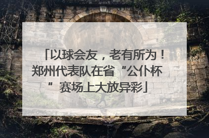 以球会友，老有所为！郑州代表队在省“公仆杯”赛场上大放异彩
