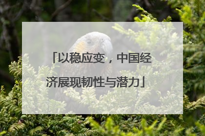 以稳应变，中国经济展现韧性与潜力