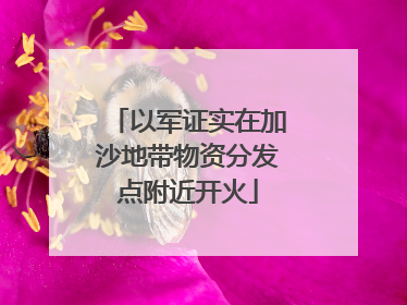 以军证实在加沙地带物资分发点附近开火