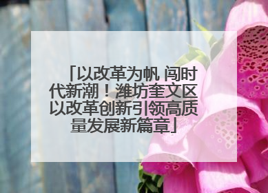 以改革为帆 闯时代新潮！潍坊奎文区以改革创新引领高质量发展新篇章