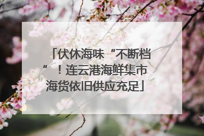 伏休海味“不断档”！连云港海鲜集市海货依旧供应充足