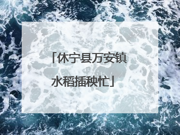 休宁县万安镇水稻插秧忙