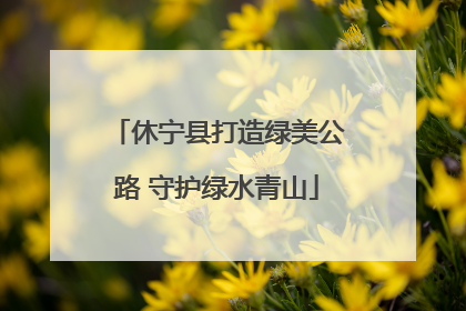 休宁县打造绿美公路 守护绿水青山