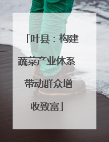 叶县：构建蔬菜产业体系 带动群众增收致富