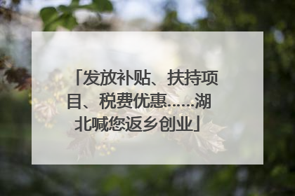 发放补贴、扶持项目、税费优惠……湖北喊您返乡创业