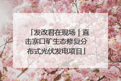发改君在现场｜直击寨口矿生态修复分布式光伏发电项目