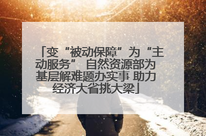 变“被动保障”为“主动服务” 自然资源部为基层解难题办实事 助力经济大省挑大梁