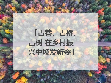 古巷、古桥、古树 在乡村振兴中焕发新姿