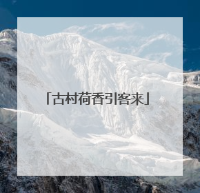 古村荷香引客来