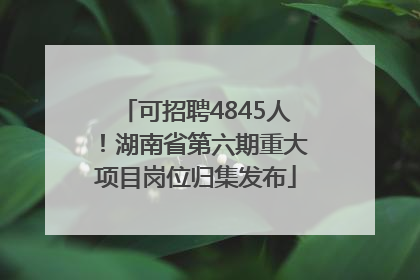 可招聘4845人！湖南省第六期重大项目岗位归集发布