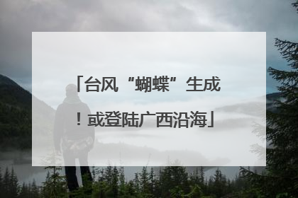 台风“蝴蝶”生成！或登陆广西沿海