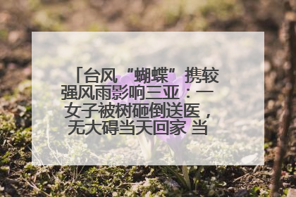 台风“蝴蝶”携较强风雨影响三亚：一女子被树砸倒送医，无大碍当天回家 当地已紧急清障