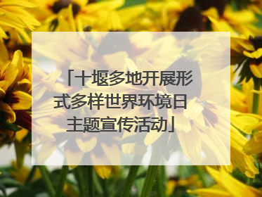 十堰多地开展形式多样世界环境日主题宣传活动
