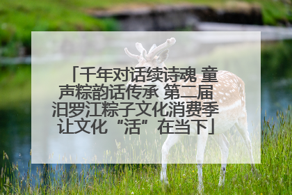 千年对话续诗魂 童声粽韵话传承 第二届汨罗江粽子文化消费季让文化“活”在当下