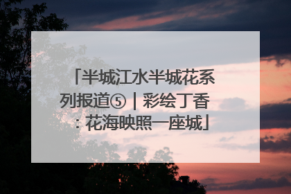 半城江水半城花系列报道⑤｜彩绘丁香：花海映照一座城
