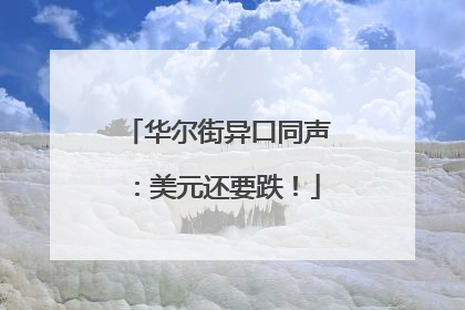 华尔街异口同声：美元还要跌！