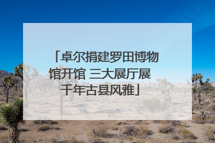 卓尔捐建罗田博物馆开馆 三大展厅展千年古县风雅