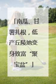 南瓜、甘薯扎根，低产丘陵地变身致富“聚宝盆”