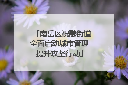 南岳区祝融街道全面启动城市管理提升攻坚行动