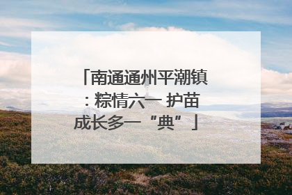 南通通州平潮镇：粽情六一 护苗成长多一“典”