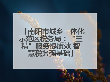 南阳市城乡一体化示范区税务局：“三精”服务提质效 智慧税务强基础