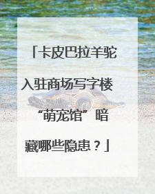 卡皮巴拉羊驼入驻商场写字楼 “萌宠馆”暗藏哪些隐患？