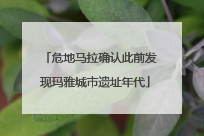 危地马拉确认此前发现玛雅城市遗址年代