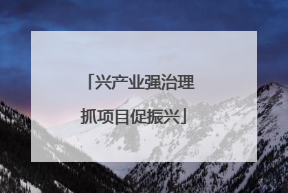 兴产业强治理 抓项目促振兴
