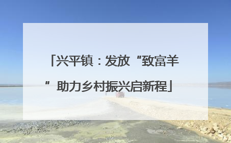 兴平镇：发放“致富羊”助力乡村振兴启新程