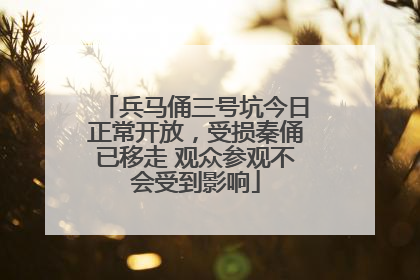兵马俑三号坑今日正常开放，受损秦俑已移走 观众参观不会受到影响