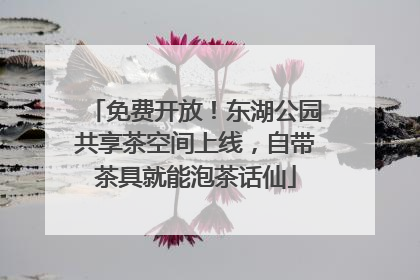 免费开放！东湖公园共享茶空间上线，自带茶具就能泡茶话仙