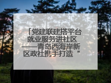 党建联建搭平台 就业服务进社区——青岛西海岸新区政社携手打造“零工之家”就业服务新阵地