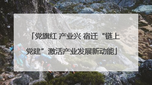党旗红 产业兴 宿迁“链上党建”激活产业发展新动能