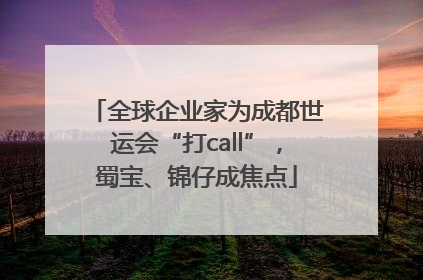全球企业家为成都世运会“打call”，蜀宝、锦仔成焦点