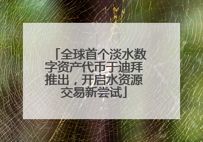 全球首个淡水数字资产代币于迪拜推出，开启水资源交易新尝试