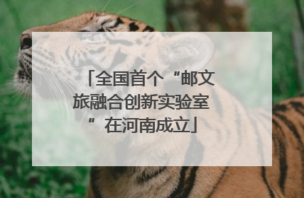 全国首个“邮文旅融合创新实验室”在河南成立