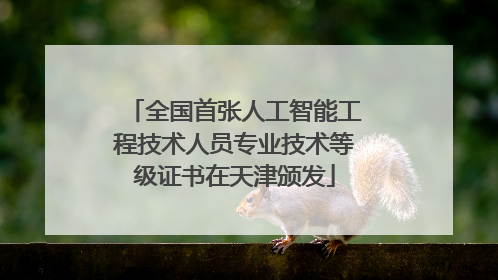 全国首张人工智能工程技术人员专业技术等级证书在天津颁发