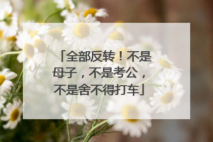 全部反转！不是母子，不是考公，不是舍不得打车