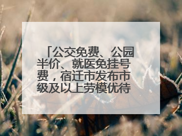 公交免费、公园半价、就医免挂号费，宿迁市发布市级及以上劳模优待服务清单